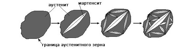 Образование кристаллов мартенсита в зерне аустенита